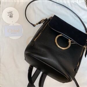 NWT Chloe Faye Small Backpack